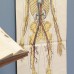Medische schoolplaat skelet