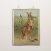 Dubbelzijdige schoolplaat: kangoeroe / rozenluis