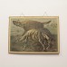 Antieke schoolplaat: hyena