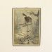 Antieke schoolplaat: zangvogels