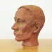Terracotta hoofd