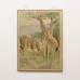 Antieke schoolplaat: giraffe