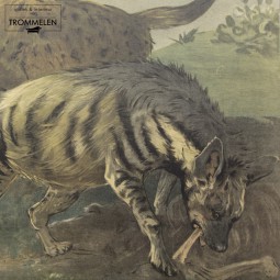 Antieke schoolplaat: hyena