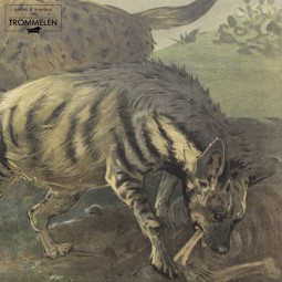 Antieke schoolplaat: hyena