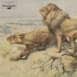 Antieke schoolplaat: leeuw