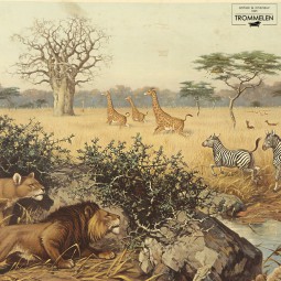 Antieke schoolplaat: leeuw