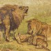 Schilderij leeuwen