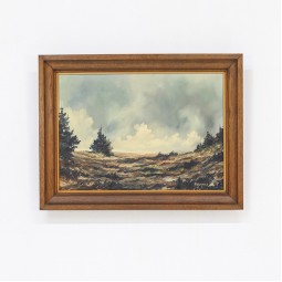 Ardennen landschap