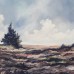 Ardennen landschap