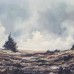 Ardennen landschap